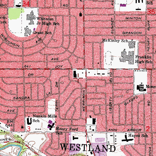 Topographic Map of Joyand Merriman Shopping Center, MI