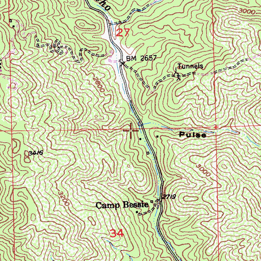 Topographic Map of Pulse Canyon, CA