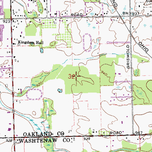 Topographic Map of Lyon Town Square Shopping Center, MI