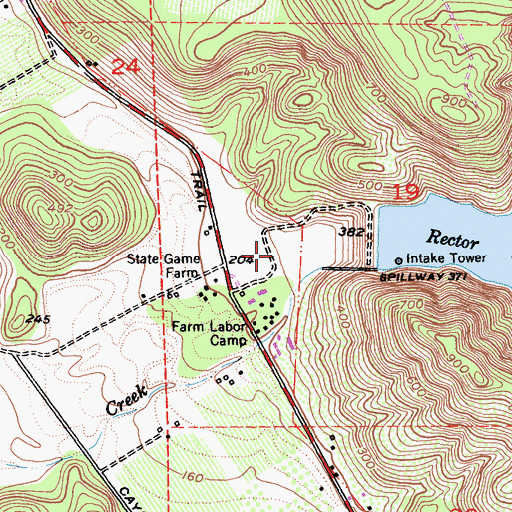 Topographic Map of Rector Canyon, CA
