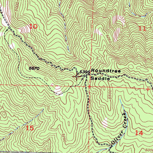 Topographic Map of Roundtree Saddle, CA