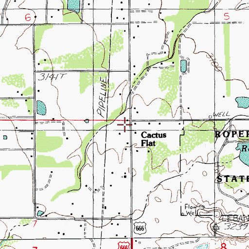 Topographic Map of Cactus Flat, AZ