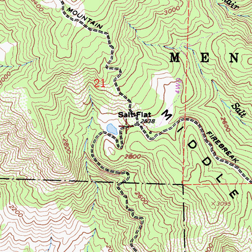 Topographic Map of Salt Flat, CA