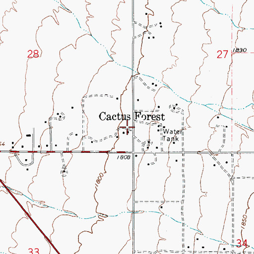 Topographic Map of Cactus Forest, AZ