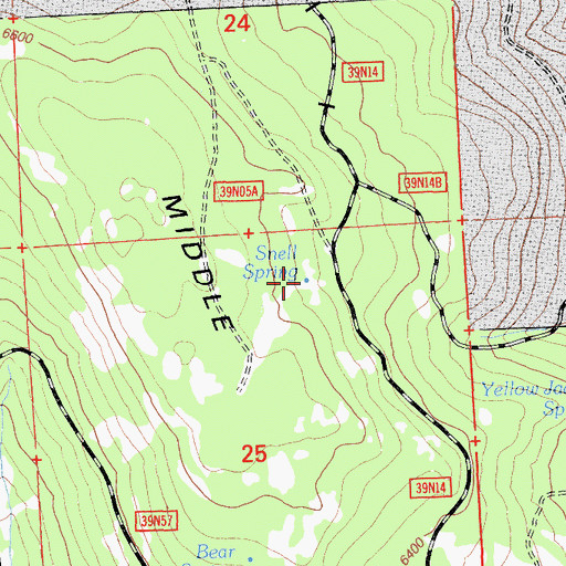 Topographic Map of Snell Spring, CA
