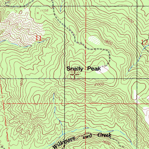 Topographic Map of Snelly Peak, CA