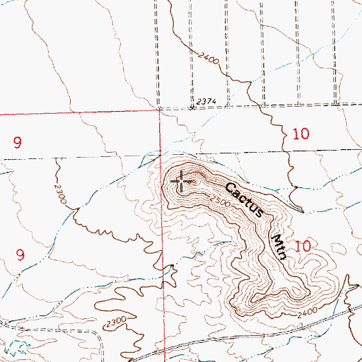 Topographic Map of Cactus Mountain, AZ