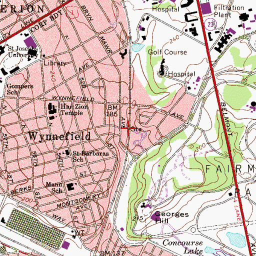 Topographic Map of Wynnefield Avenue Station, PA