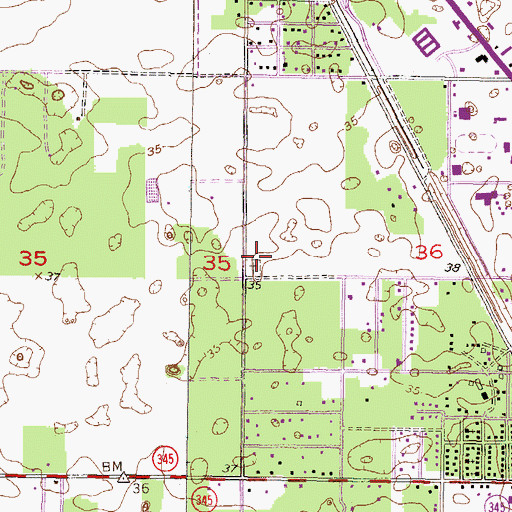 Topographic Map of Mount Olive Cemetery, FL