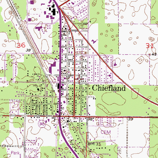 Topographic Map of Chiefland City Hall, FL