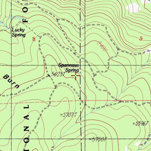 Topographic Map of Spannaus Spring, CA