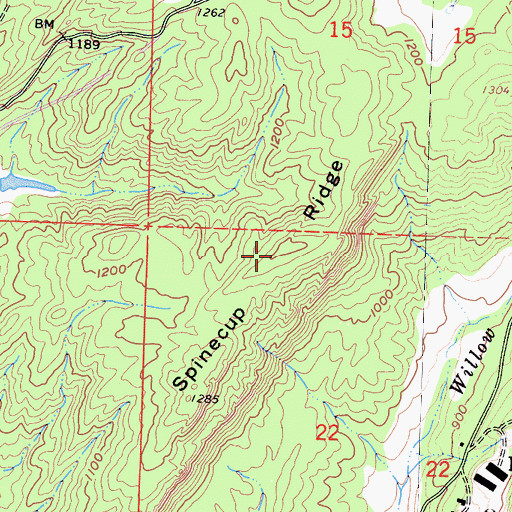 Topographic Map of Spinecup Ridge, CA