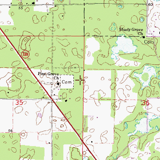 Topographic Map of Pine Grove Cemetery, FL