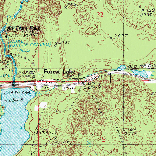 Topographic Map of Forest Lake Station (historical), MI