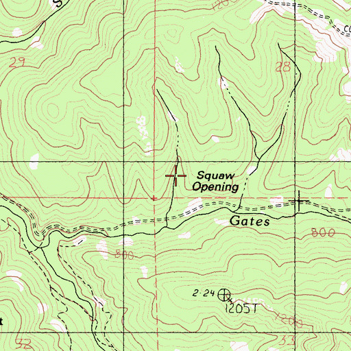 Topographic Map of Squaw Opening, CA