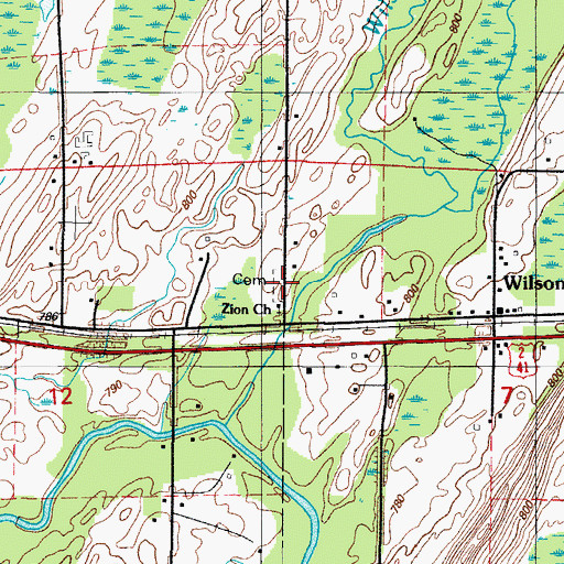 Topographic Map of Wilson Cemetery, MI