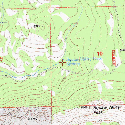 Topographic Map of Squaw Valley Peak Springs, CA
