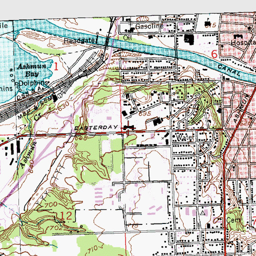 Topographic Map of Brady Hall, MI
