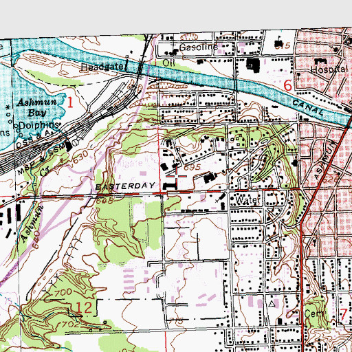 Topographic Map of South Hall, MI