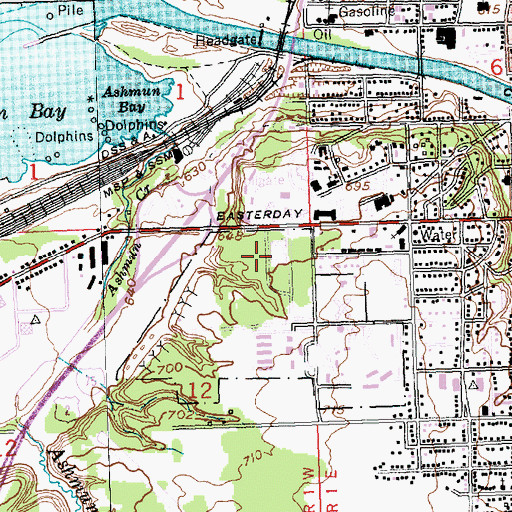 Topographic Map of Robert Arbuckle Student Activity Center, MI