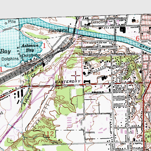 Topographic Map of Campus Shoppe, MI