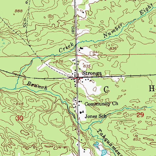 Topographic Map of Strongs Station, MI