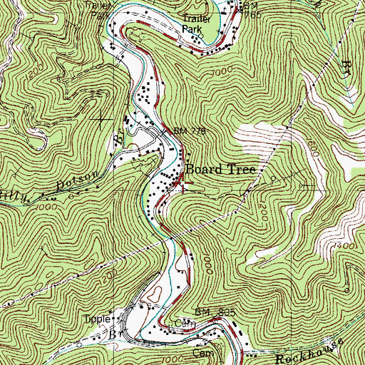 Topographic Map of Board Tree Hollow, KY