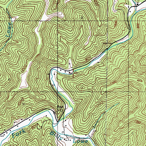 Topographic Map of Ferrell Elkins Branch, KY