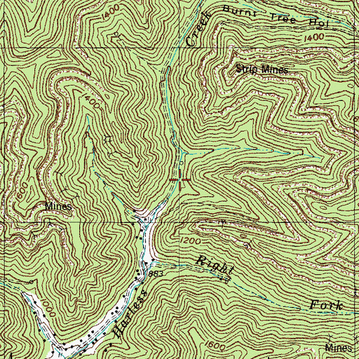 Topographic Map of Lower Lick, KY