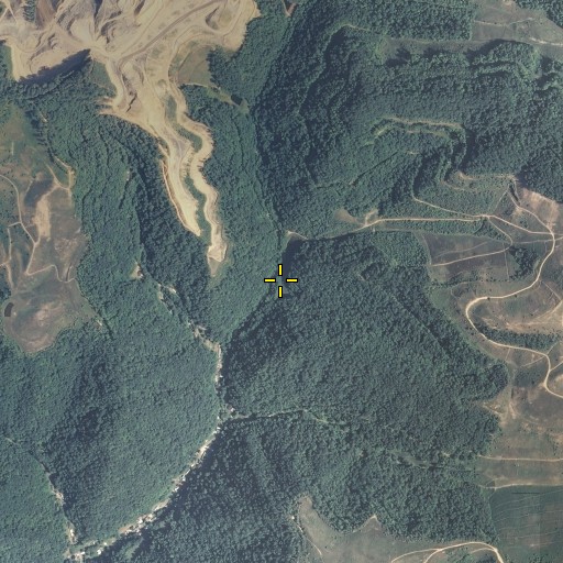 Aerial/Satellite Image of Lower Lick, KY