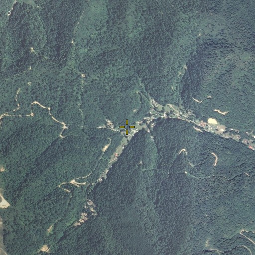 Aerial/Satellite Image of Sycamore Fork, KY