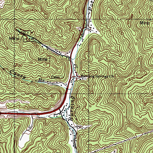 Topographic Map of Taylor Hollow, KY