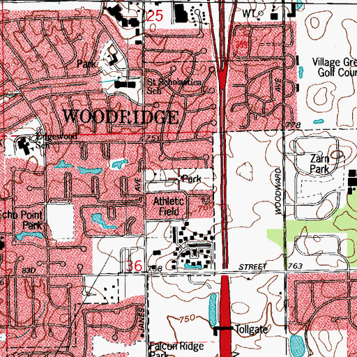 Topographic Map of Janes Avenue Park, IL