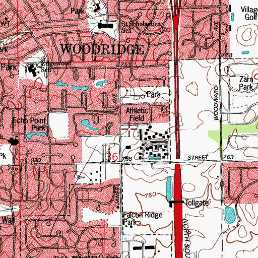 Topographic Map of Janes Avenue Soccer Field, IL