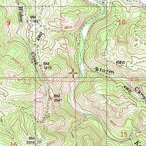 Topographic Map of Storm Canyon, CA