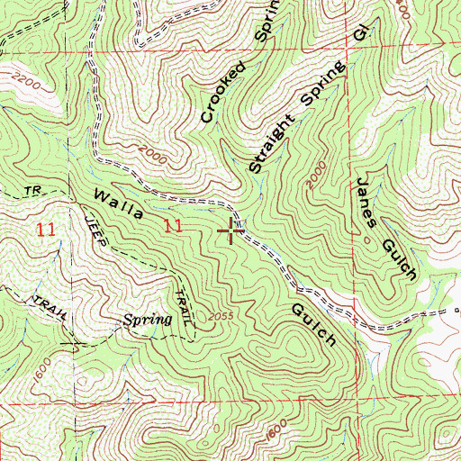 Topographic Map of Straight Spring Gulch, CA