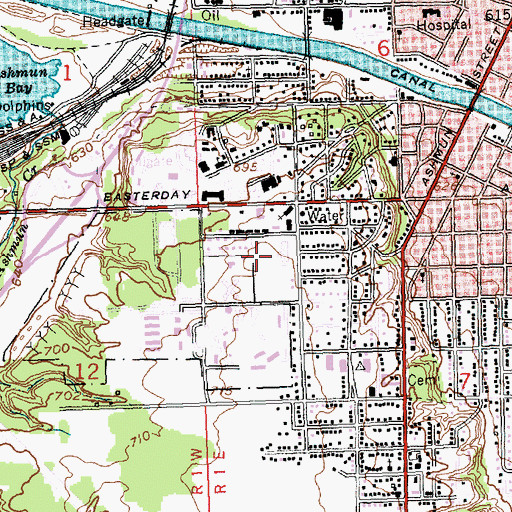 Topographic Map of Immanuel Lutheran School, MI