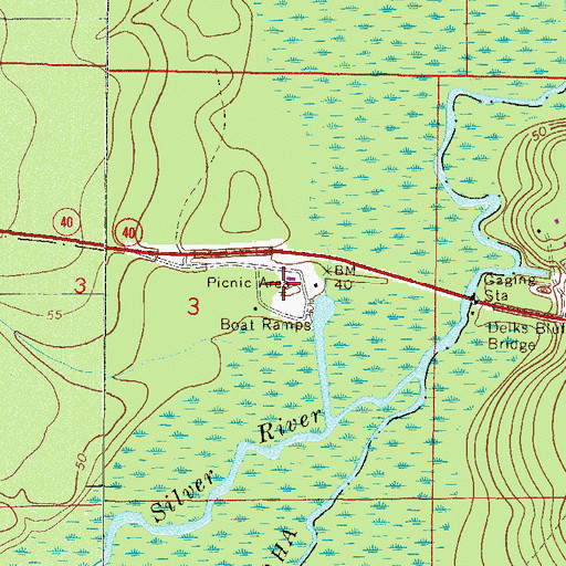 Topographic Map of Ray Wayside Park, FL