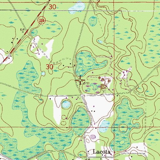 Topographic Map of Gore Family Cemetery, FL