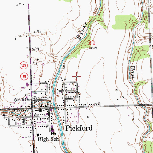 Topographic Map of Pickford Township Park, MI