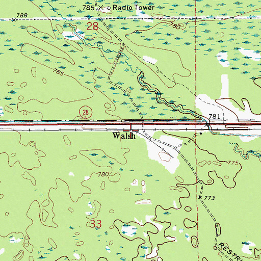 Topographic Map of Walsh Station, MI