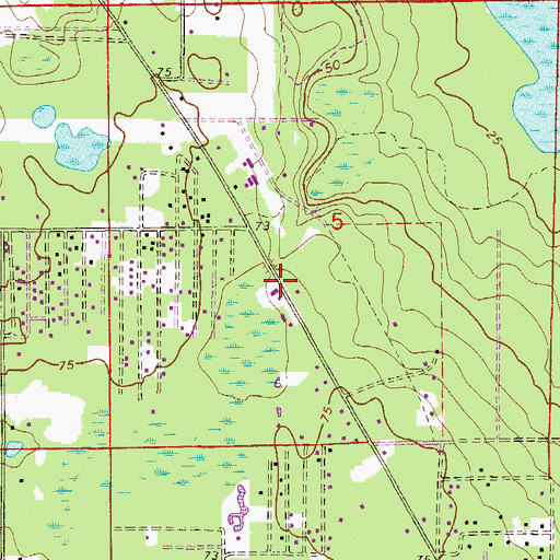 Topographic Map of New Vision Worship Center, FL