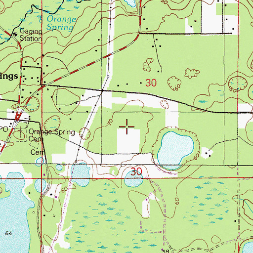 Topographic Map of Orange Springs Cemetery, FL