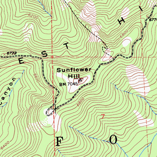Topographic Map of Sunflower Hill, CA