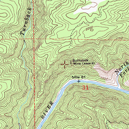 Topographic Map of Sunnyside Mine, CA