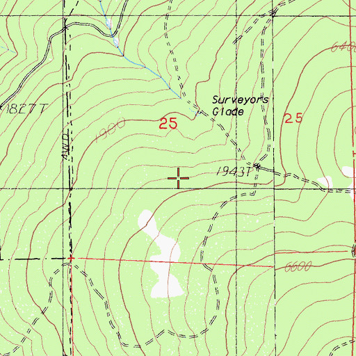 Topographic Map of Surveyors Glade, CA