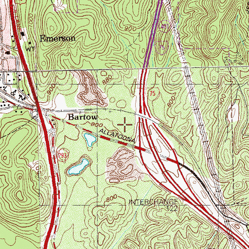 Topographic Map of Damascus-Bartow Cemetery, GA