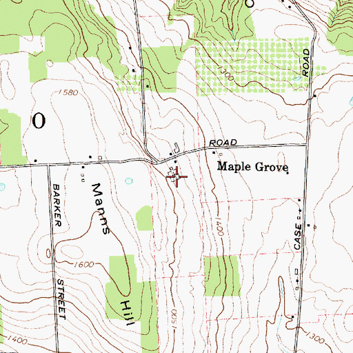 Topographic Map of Maple Grove Cemetery, NY