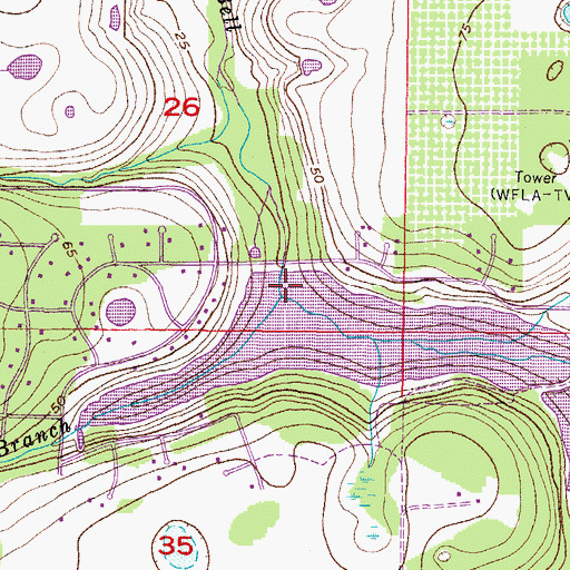 Topographic Map of Pelleham Branch, FL