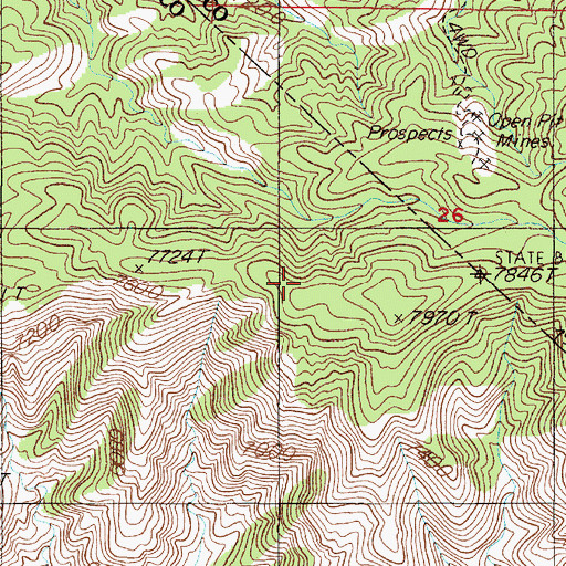 Topographic Map of Sylvania Mountains, CA